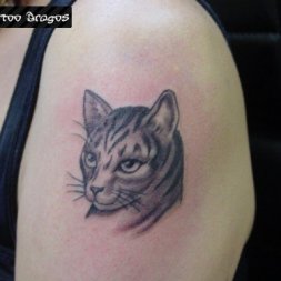 Kedi Tattoo