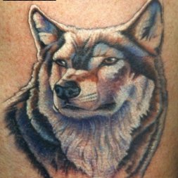 Kır Kurdu Tattoo