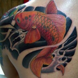 Koİ BaliĞi Tattoo