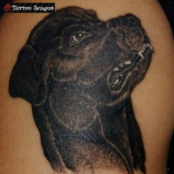 Köpek Tattoo