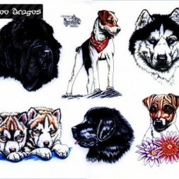 Köpek