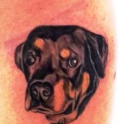 Köpek Dövmesi