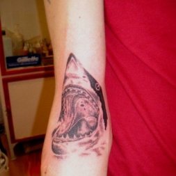 Köpekbalığı Tattoo