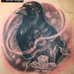 Kuzgun Tattoo