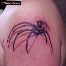 Örümcek Tattoo