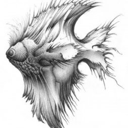 Pirana