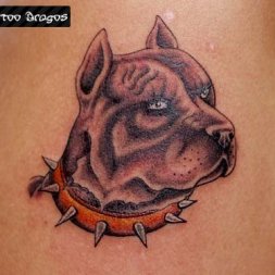 Pitbull Tattoo