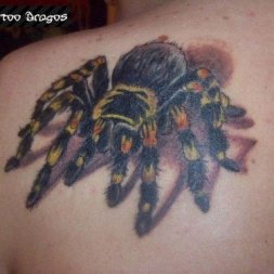 Tarantula Örümcek Tattoo