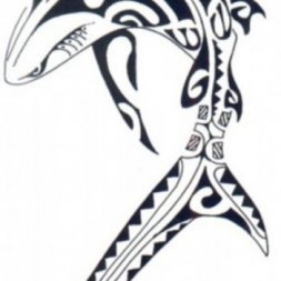 Tribal Celtic Köpekbalığı