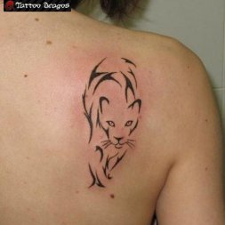 Tribal Kedi Tattoo