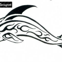 Tribal Yunus