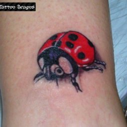 Uğurböceği Tattoo