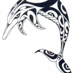 Yunus Balığı Celtic